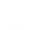 Wellness Assessment
